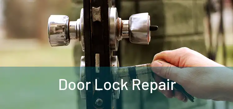 Door Lock Repair