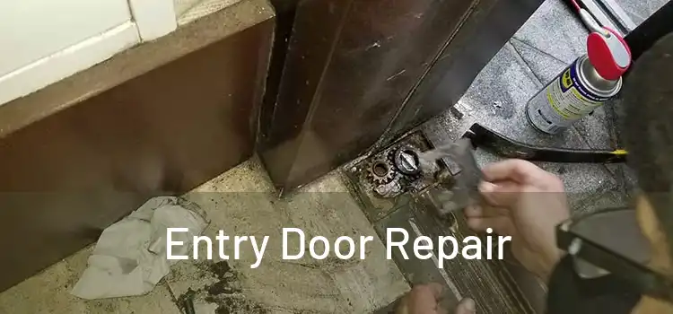 Entry Door Repair